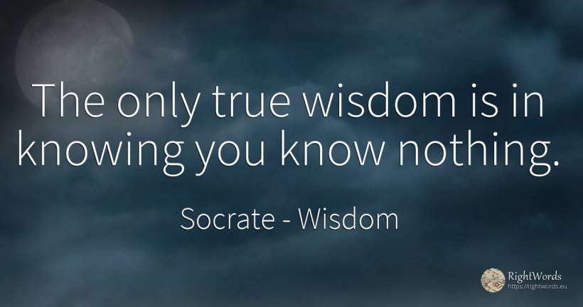The only true wisdom is in knowing you know nothing. - Socrate, quote about wisdom, nothing