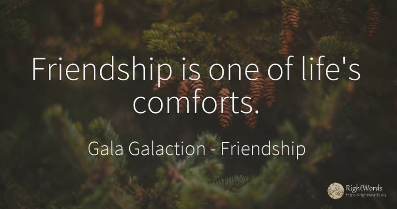 Friendship is one of life's comforts. - Gala Galaction, quote about friendship, life