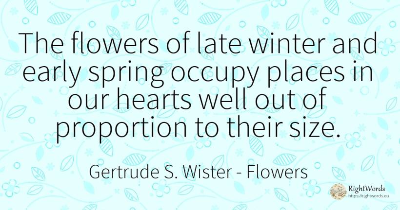 The flowers of late winter and early spring occupy places... - Gertrude S. Wister, quote about flowers