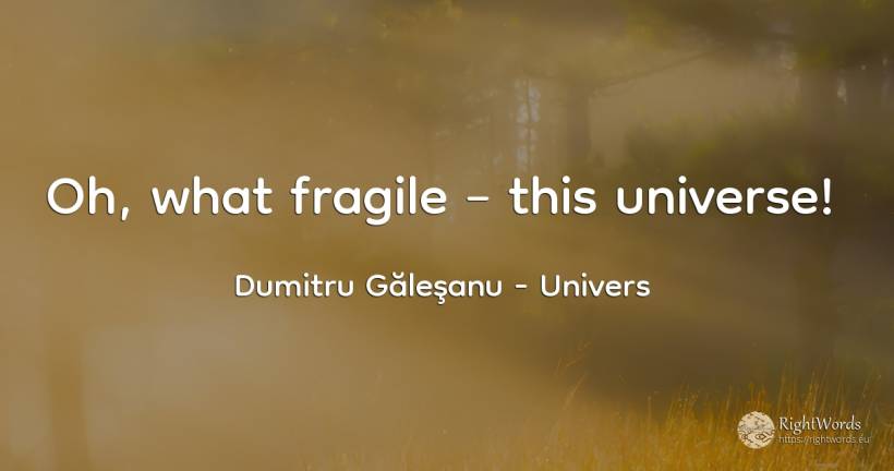 Oh, what fragile – this universe! - Dumitru Găleşanu, quote about univers