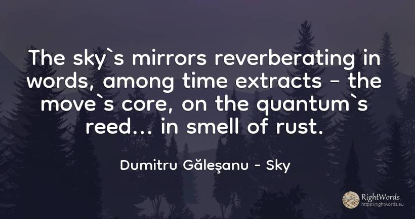 The sky`s mirrors reverberating in words, among time... - Dumitru Găleşanu, quote about sky