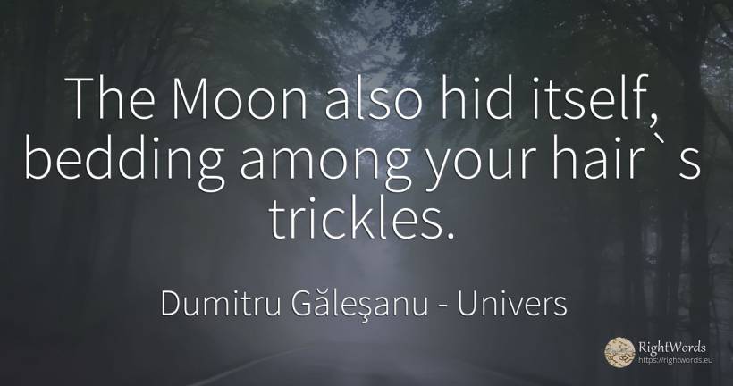 The Moon also hid itself, bedding among your hair`s... - Dumitru Găleşanu, quote about univers