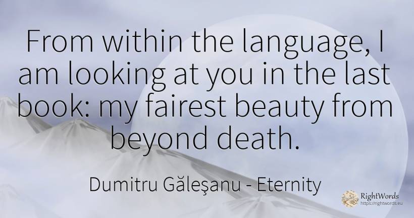 From within the language, I am looking at you in the last... - Dumitru Găleşanu, quote about eternity