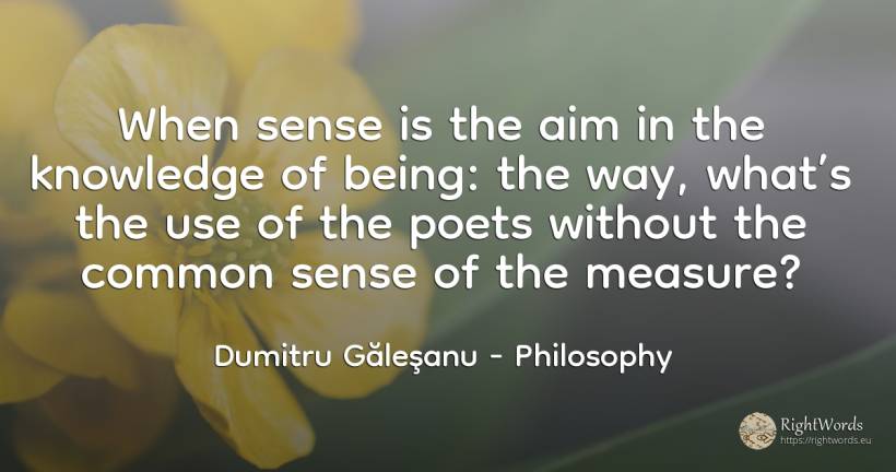 When sense is the aim in the knowledge of being: the way, ... - Dumitru Găleşanu, quote about philosophy