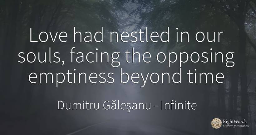 Love had nestled in our souls, facing the opposing... - Dumitru Găleşanu, quote about infinite