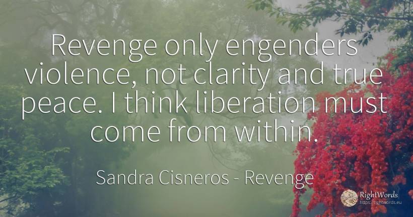 Revenge only engenders violence, not clarity and true... - Sandra Cisneros, quote about revenge, violence, peace