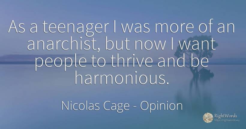 As a teenager I was more of an anarchist, but now I want... - Nicolas Cage, quote about opinion, teenager, people