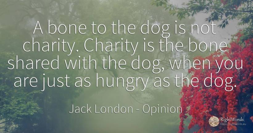 A bone to the dog is not charity. Charity is the bone... - Jack London, quote about opinion, charity