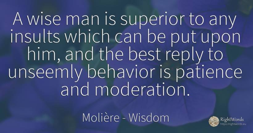 A wise man is superior to any insults which can be put... - Molière, quote about wisdom, insults, patience, man