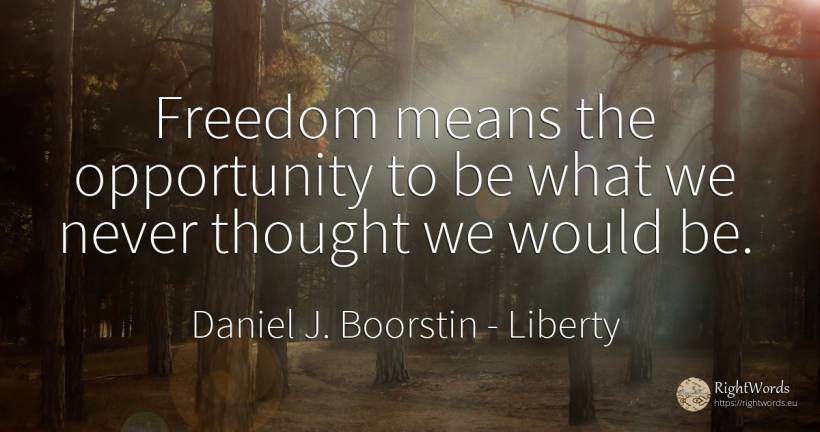 Freedom means the opportunity to be what we never thought... - Daniel J. Boorstin, quote about liberty, chance, thinking