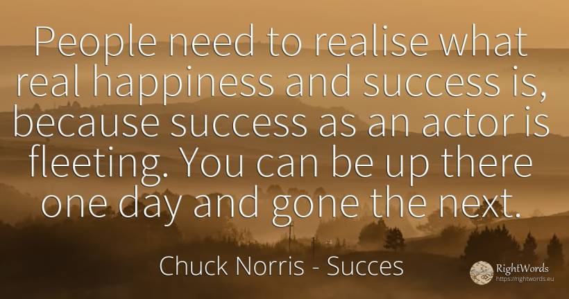 People need to realise what real happiness and success... - Chuck Norris, quote about succes, happiness, actors, need, real estate, day, people