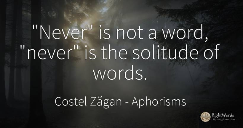 Never is not a word, never is the solitude of words. - Costel Zăgan, quote about aphorisms, solitude, word