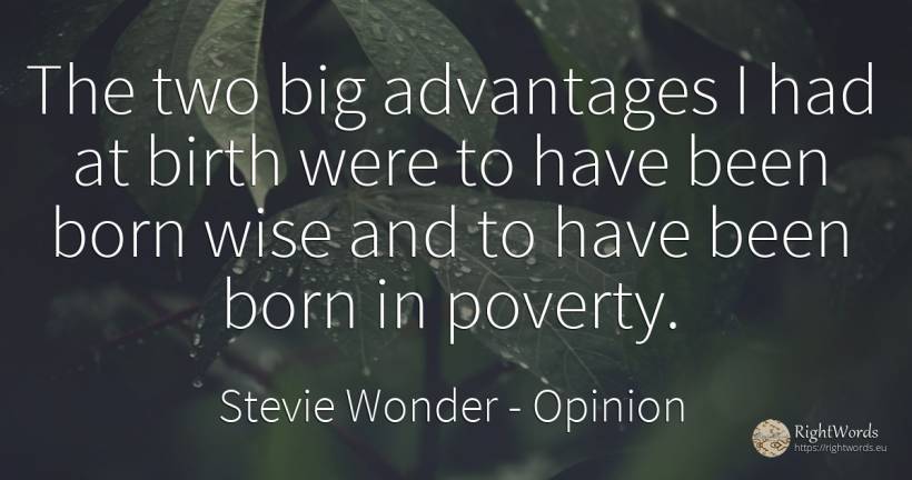 The two big advantages I had at birth were to have been... - Stevie Wonder, quote about opinion, poverty