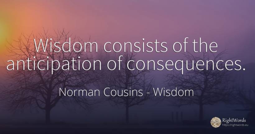 Wisdom consists of the anticipation of consequences. - Norman Cousins, quote about wisdom, consequences