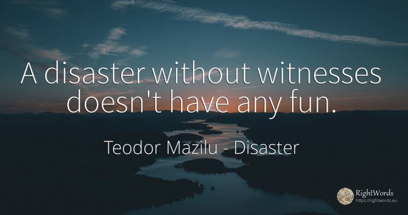 A disaster without witnesses doesn't have any fun. - Teodor Mazilu, quote about disaster