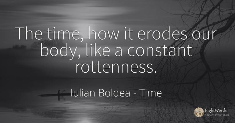 The time, how it erodes our body, like a constant... - Iulian Boldea, quote about time, body