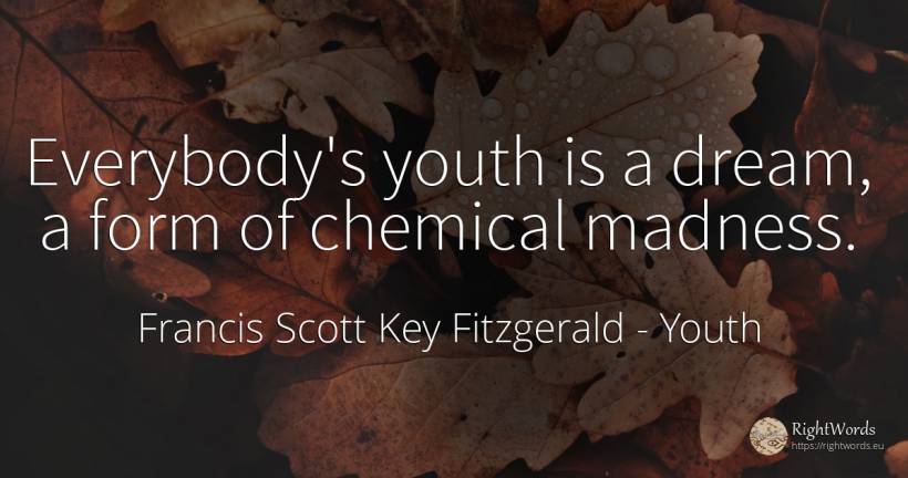 Everybody's youth is a dream, a form of chemical madness. - Francis Scott Key Fitzgerald, quote about youth, dream