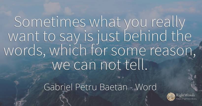 Sometimes what you really want to say is just behind the... - Gabriel Petru Baetan, quote about word, reason