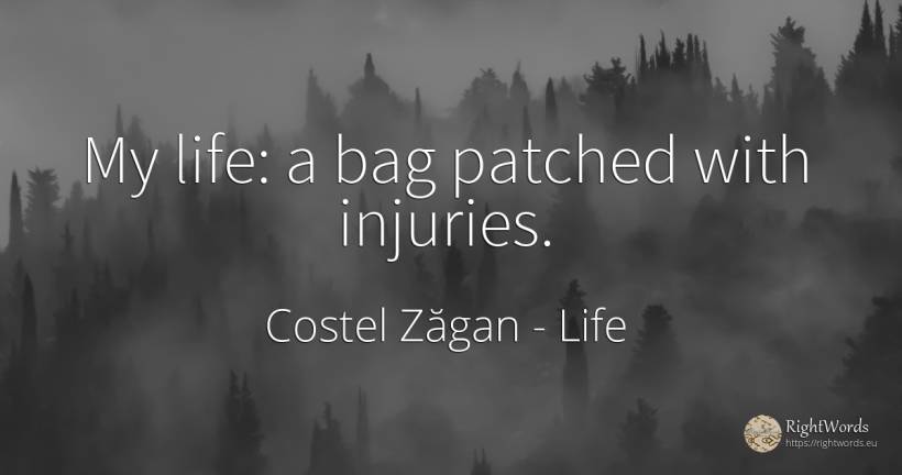 My life: a bag patched with injuries. - Costel Zăgan, quote about life