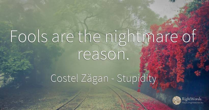 Fools are the nightmare of reason. - Costel Zăgan, quote about stupidity, nightmare, reason
