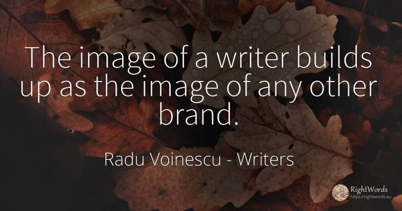 The image of a writer builds up as the image of any other... - Radu Voinescu (Nicolae Baboi), quote about writers