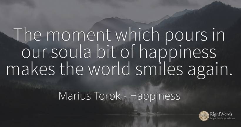 The moment which pours in our soula bit of happiness... - Marius Torok (Darius Domcea), quote about happiness, moment, world