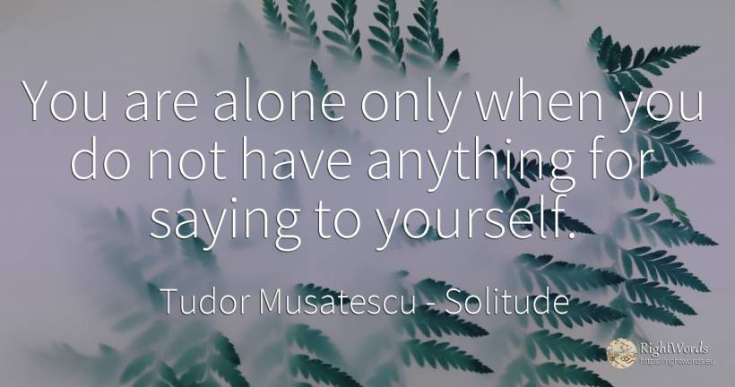 You are alone only when you do not have anything for... - Tudor Musatescu, quote about solitude