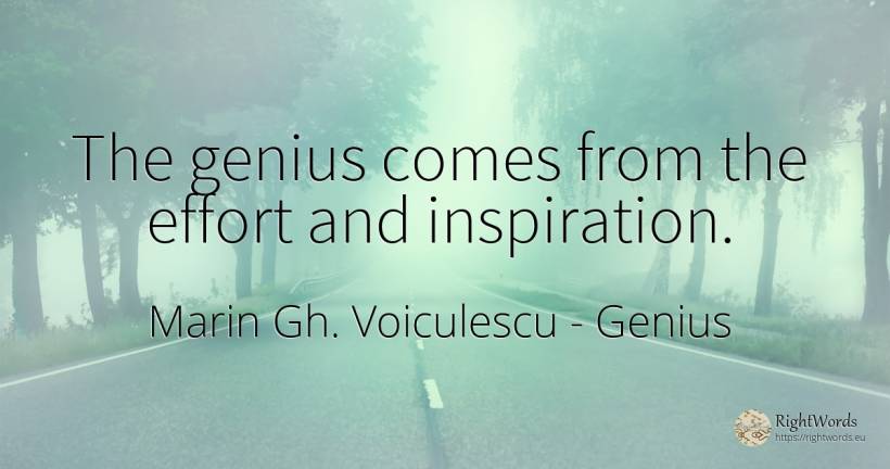 The genius comes from the effort and inspiration. - Marin Gh. Voiculescu, quote about genius, inspiration