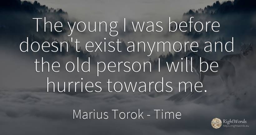The young I was before doesn't exist anymore and the old... - Marius Torok, quote about time, old, olderness, people