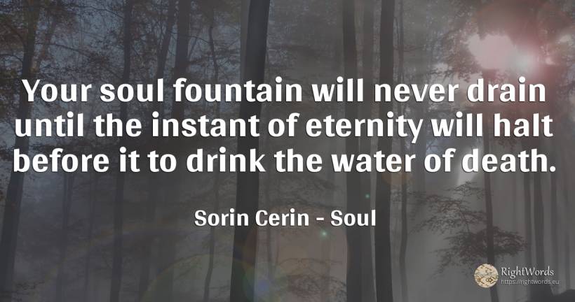 Your soul fountain will never drain until the instant of... - Sorin Cerin, quote about soul, drinking, eternity, water, wisdom, death