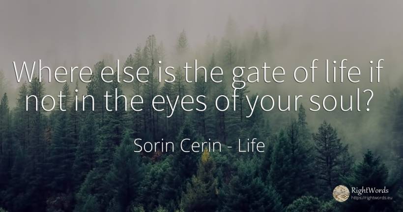 Where else is the gate of life if not in the eyes of your... - Sorin Cerin, quote about life, eyes, soul, wisdom