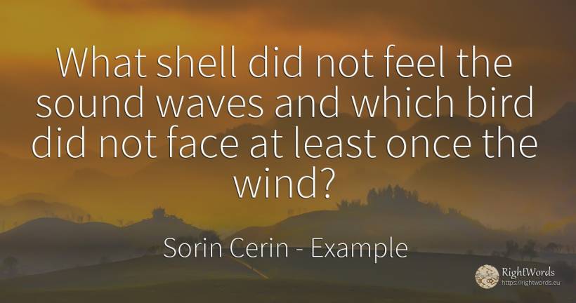 What shell did not feel the sound waves and which bird... - Sorin Cerin, quote about example, wisdom, face