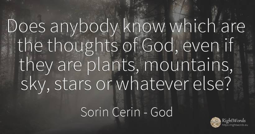Does anybody know which are the thoughts of God, even if... - Sorin Cerin, quote about god, celebrity, stars, sky, wisdom
