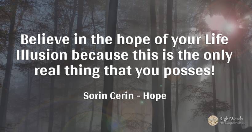 Believe in the hope of your Life Illusion because this is... - Sorin Cerin, quote about hope, wisdom, real estate, things, life