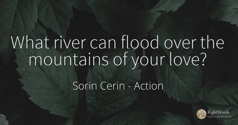 What river can flood over the mountains of your love? - Sorin Cerin, quote about action, wisdom, love