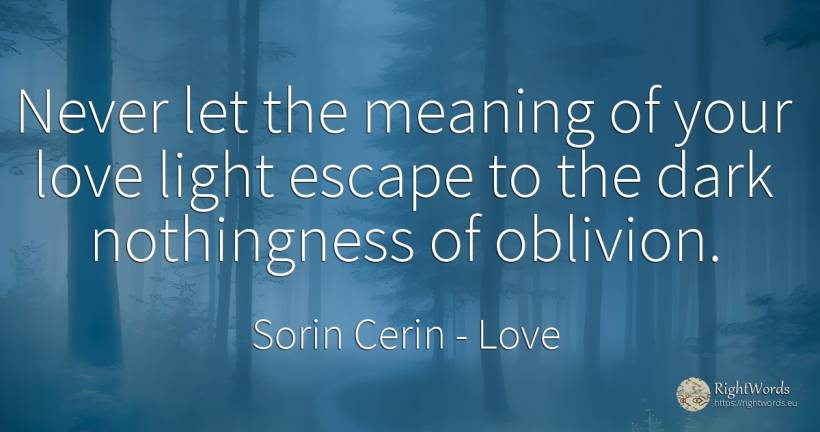 Never let the meaning of your love light escape to the... - Sorin Cerin, quote about forgetness, dark, light, wisdom, love