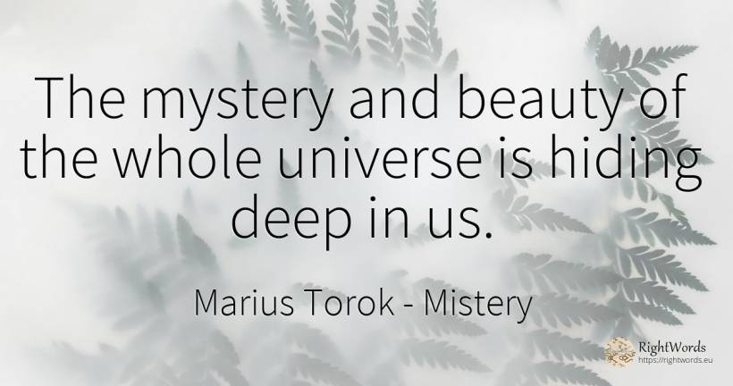 The mystery and beauty of the whole universe is hiding... - Marius Torok (Darius Domcea), quote about mistery, beauty