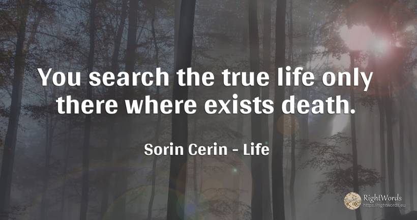 You search the true life only there where exists death. - Sorin Cerin, quote about life, paradise, death