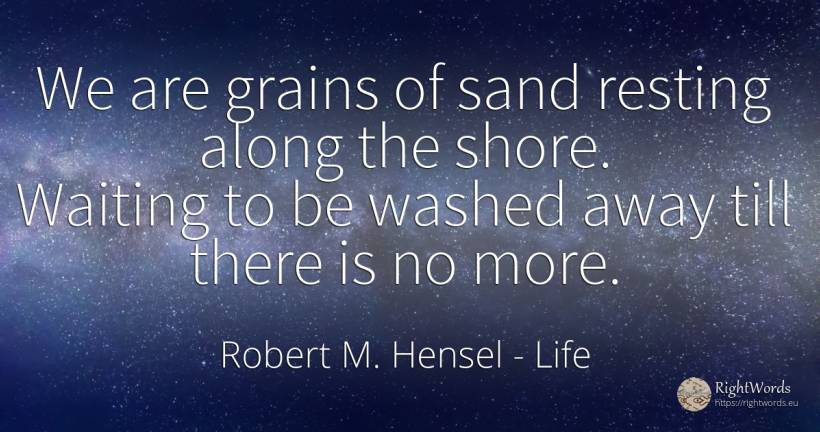 We are grains of sand resting along the shore. Waiting to... - Robert M. Hensel, quote about life
