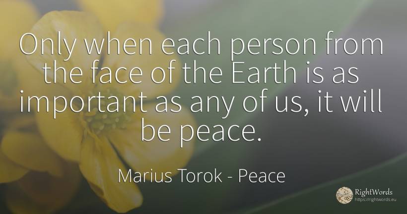 Only when each person from the face of the Earth is as... - Marius Torok (Darius Domcea), quote about peace, earth, people, face