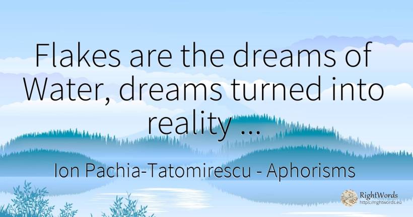 Flakes are the dreams of Water, dreams turned into... - Ion Pachia-Tatomirescu, quote about aphorisms, water, dream, reality