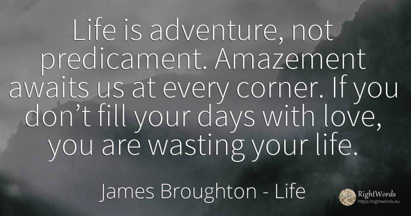 Life is adventure, not predicament. Amazement awaits us... - James Broughton, quote about life, adventure, day, love