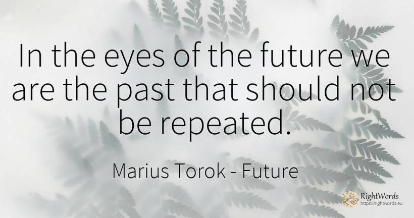 In the eyes of the future we are the past that should not... - Marius Torok (Darius Domcea), quote about future, eyes, past