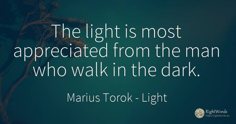 The light is most appreciated from the man who walk in... - Marius Torok (Darius Domcea), quote about light, dark, man