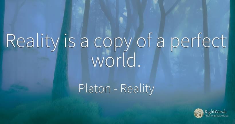Reality is a copy of a perfect world. - Platon, quote about reality, perfection, world