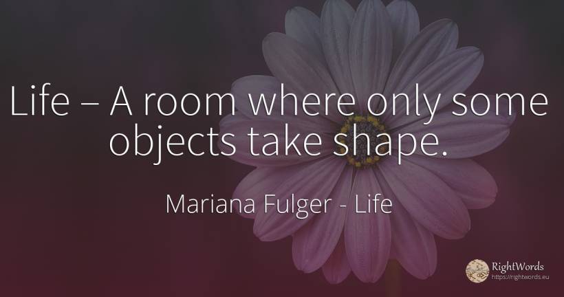 Life – A room where only some objects take shape. - Mariana Fulger, quote about life, objects