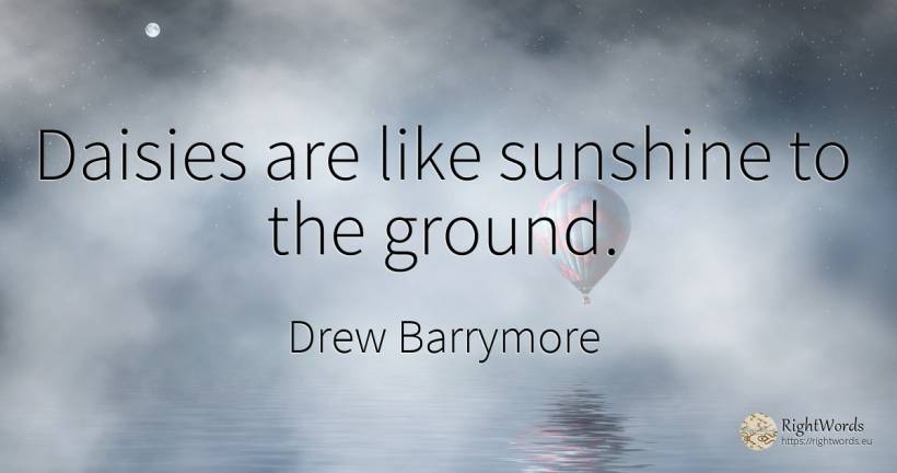 Daisies are like sunshine to the ground. - Drew Barrymore