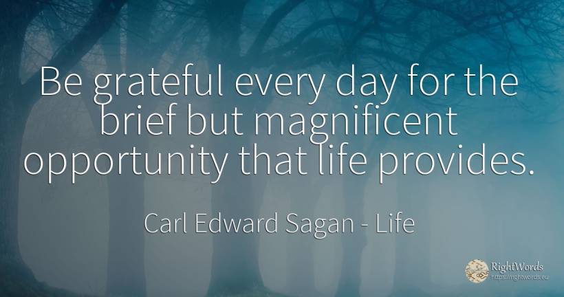 Be grateful every day for the brief but magnificent... - Carl Edward Sagan, quote about life, chance, day