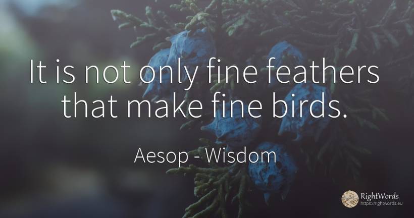 It is not only fine feathers that make fine birds. - Aesop (Aesopus), quote about wisdom