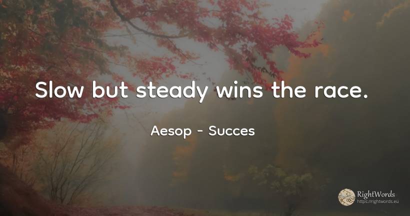 Slow but steady wins the race. - Aesop (Aesopus), quote about succes